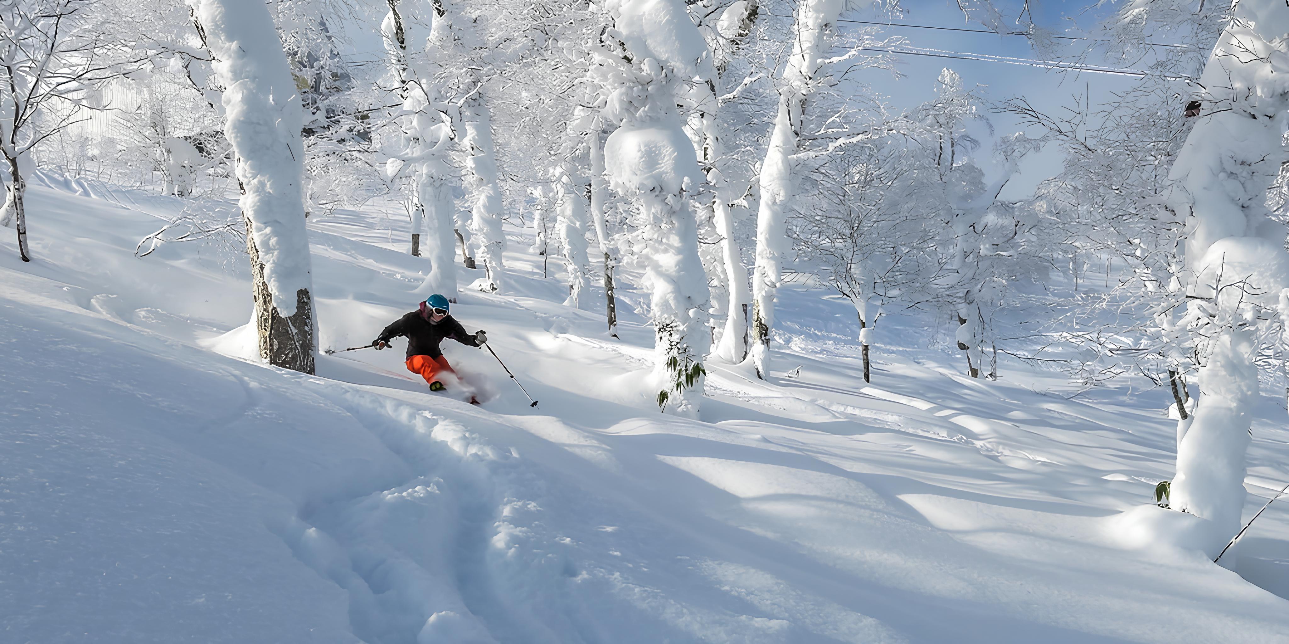 RITIRO JAPOW - SCI, YOGA E TRADIZIONE IN GIAPPONE