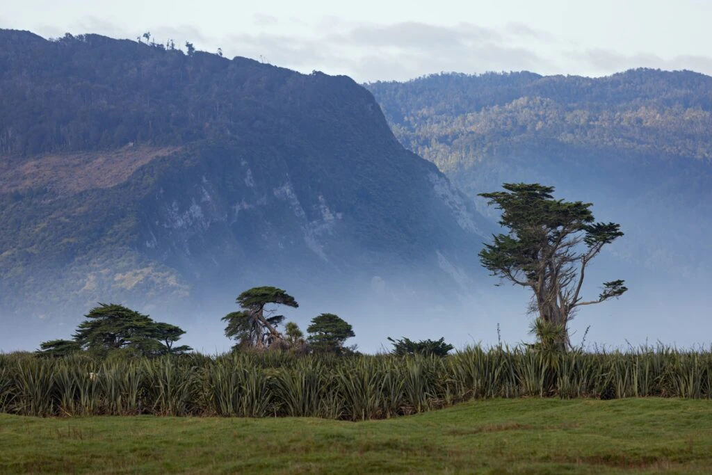 THE HEAPHY TRACK: A NEW ZEALAND JOURNEY THROUGH TIME