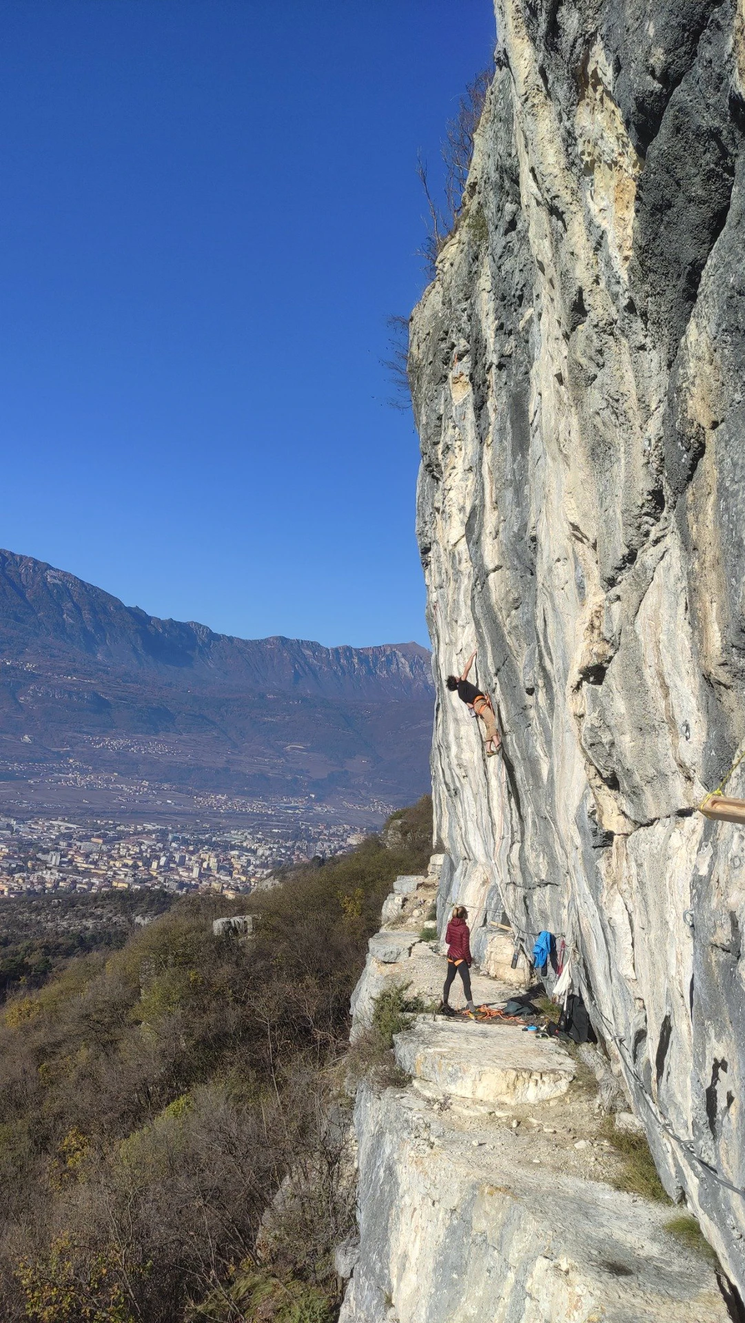 Galleria immagini